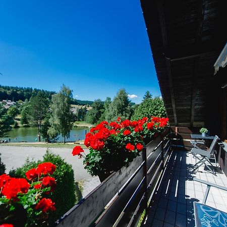 Ferienwohnungen Am Skilift Herrischried Zewnętrze zdjęcie
