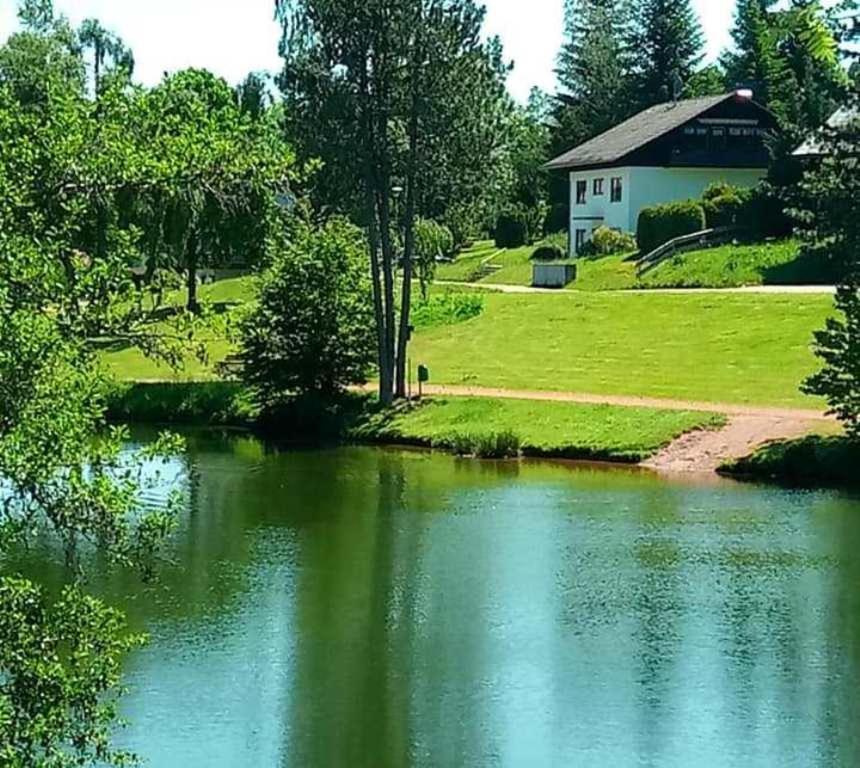 Ferienwohnungen Am Skilift Herrischried Zewnętrze zdjęcie