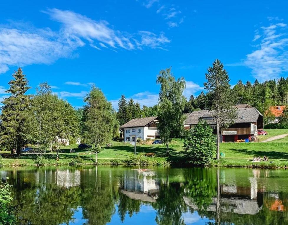 Ferienwohnungen Am Skilift Herrischried Zewnętrze zdjęcie
