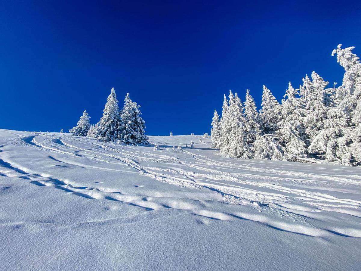Ferienwohnungen Am Skilift Herrischried Zewnętrze zdjęcie