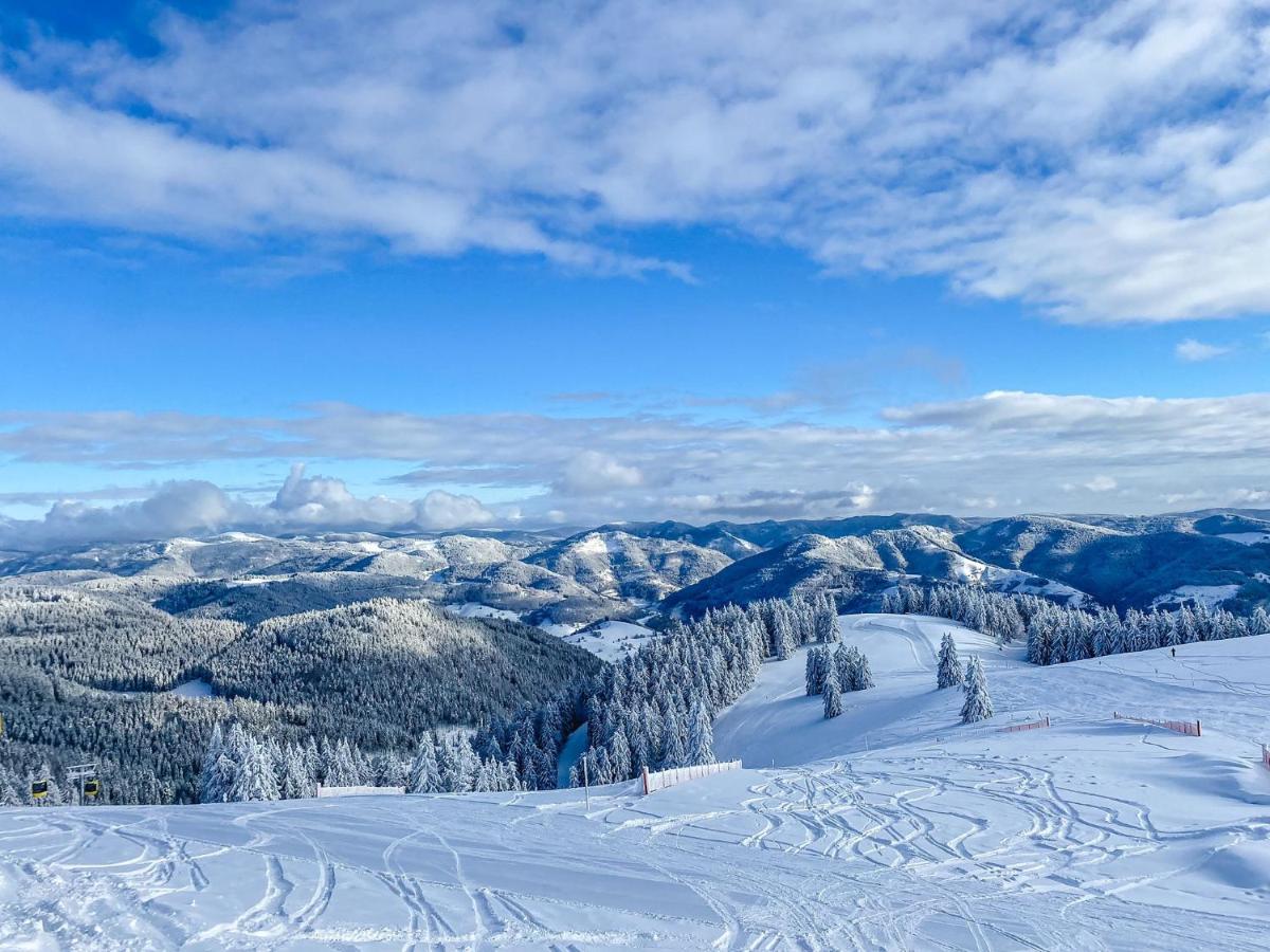 Ferienwohnungen Am Skilift Herrischried Zewnętrze zdjęcie