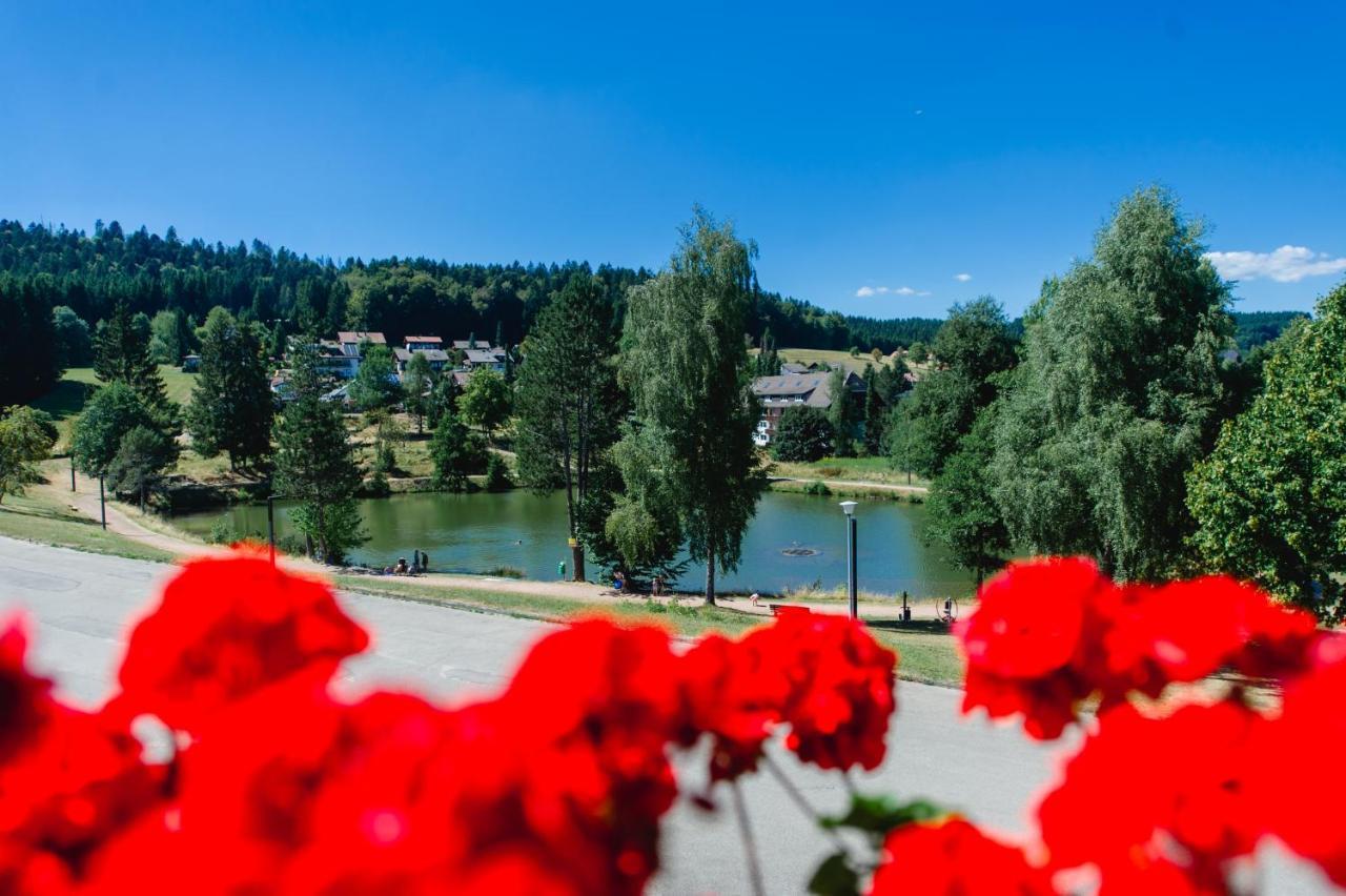 Ferienwohnungen Am Skilift Herrischried Zewnętrze zdjęcie