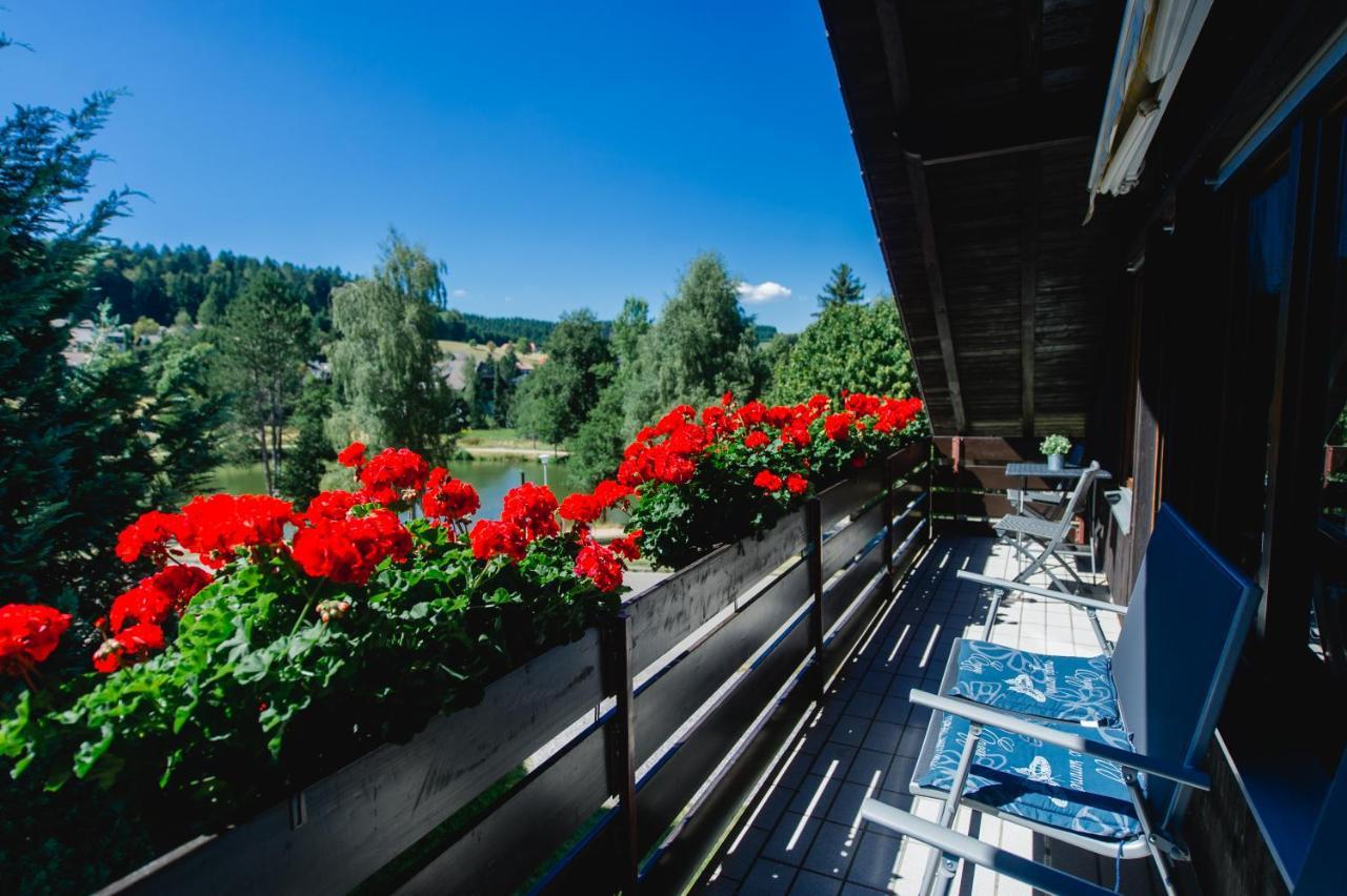 Ferienwohnungen Am Skilift Herrischried Zewnętrze zdjęcie