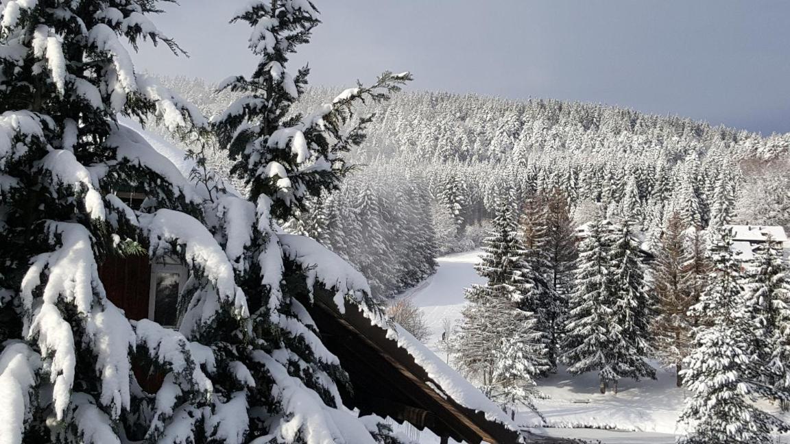 Ferienwohnungen Am Skilift Herrischried Zewnętrze zdjęcie