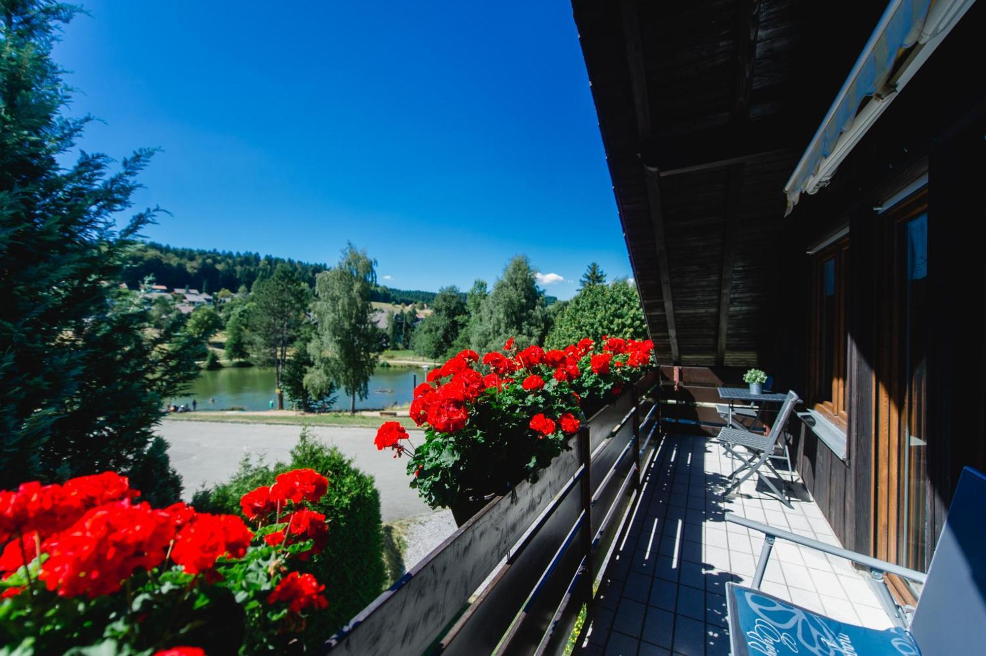 Ferienwohnungen Am Skilift Herrischried Zewnętrze zdjęcie