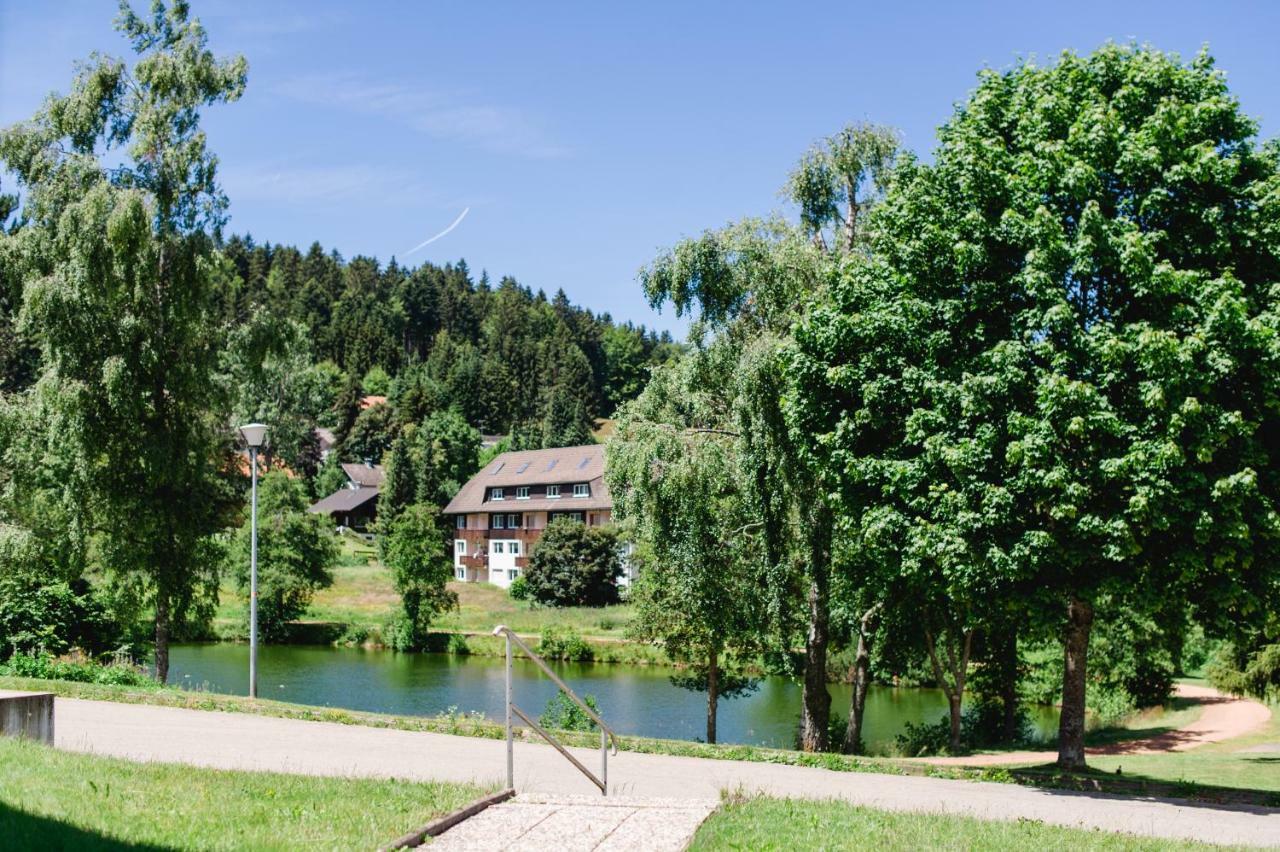 Ferienwohnungen Am Skilift Herrischried Zewnętrze zdjęcie