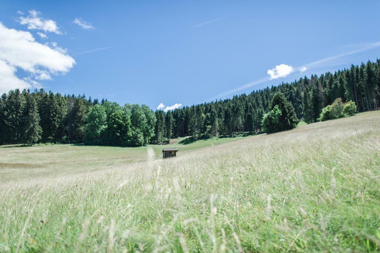 Ferienwohnungen Am Skilift Herrischried Zewnętrze zdjęcie