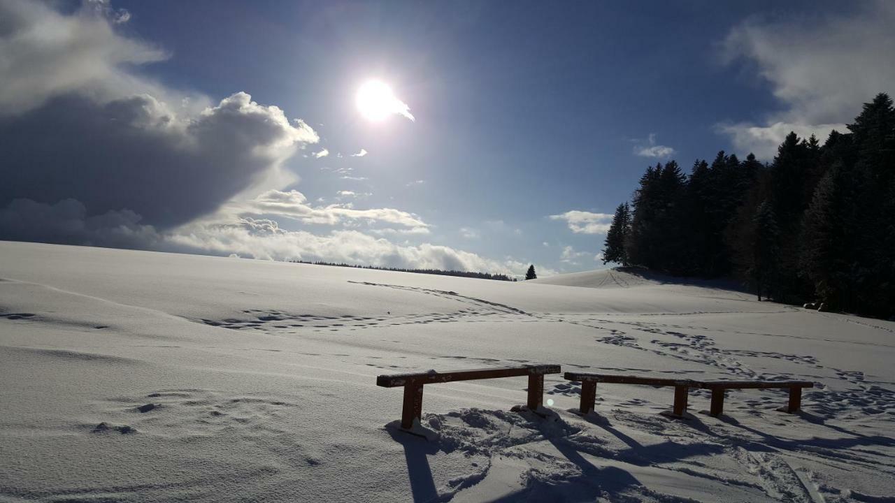 Ferienwohnungen Am Skilift Herrischried Zewnętrze zdjęcie