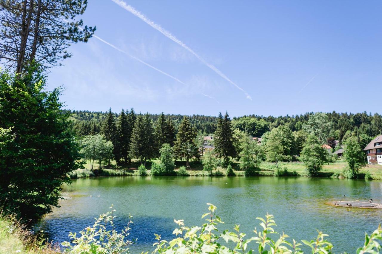 Ferienwohnungen Am Skilift Herrischried Zewnętrze zdjęcie