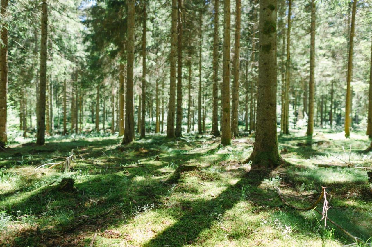 Ferienwohnungen Am Skilift Herrischried Zewnętrze zdjęcie