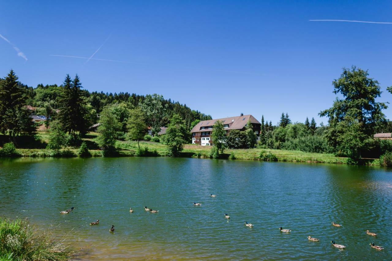 Ferienwohnungen Am Skilift Herrischried Zewnętrze zdjęcie