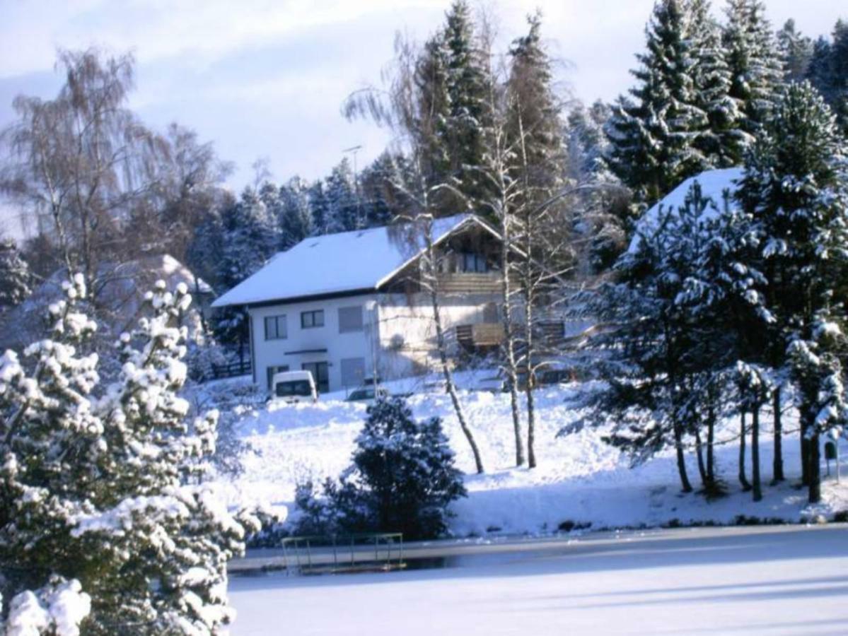 Ferienwohnungen Am Skilift Herrischried Zewnętrze zdjęcie