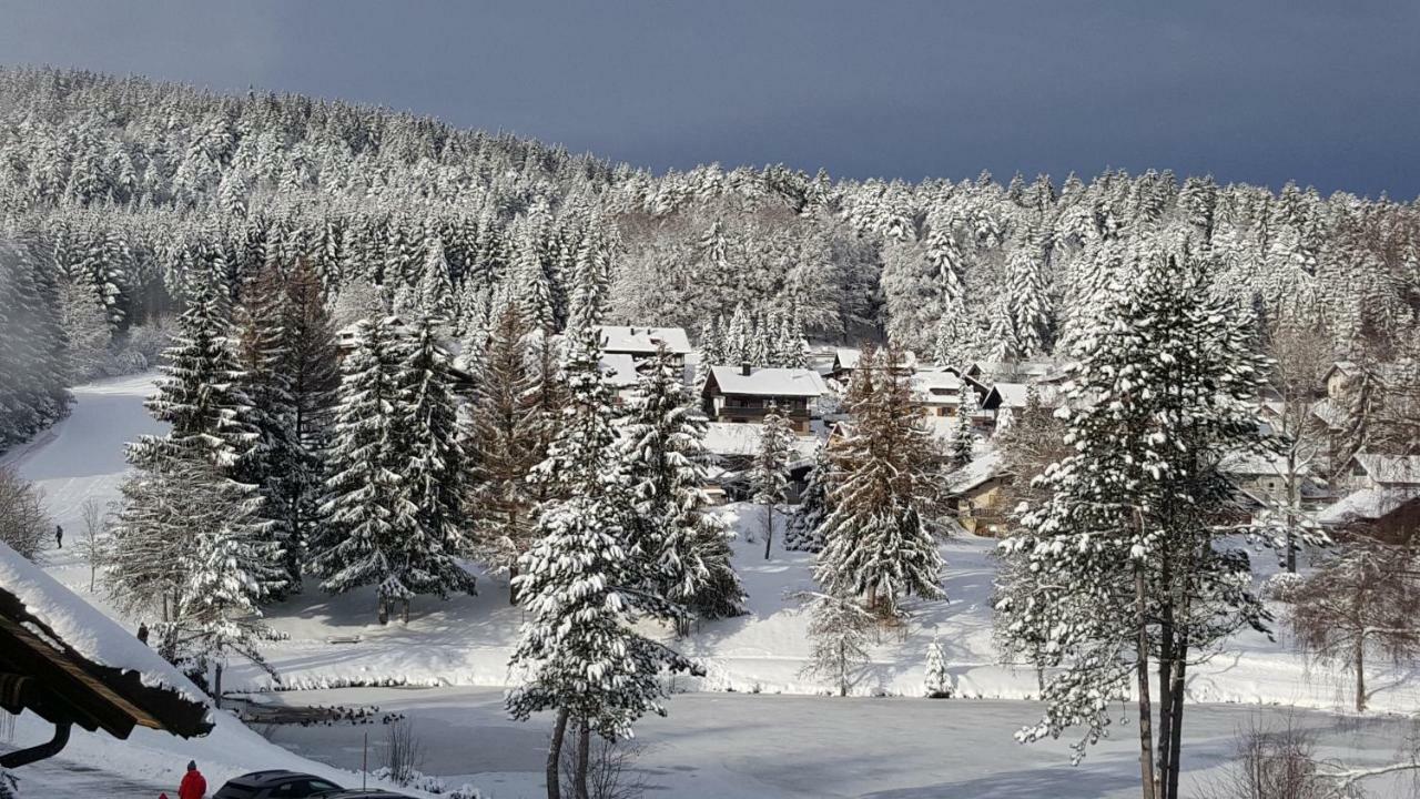 Ferienwohnungen Am Skilift Herrischried Zewnętrze zdjęcie